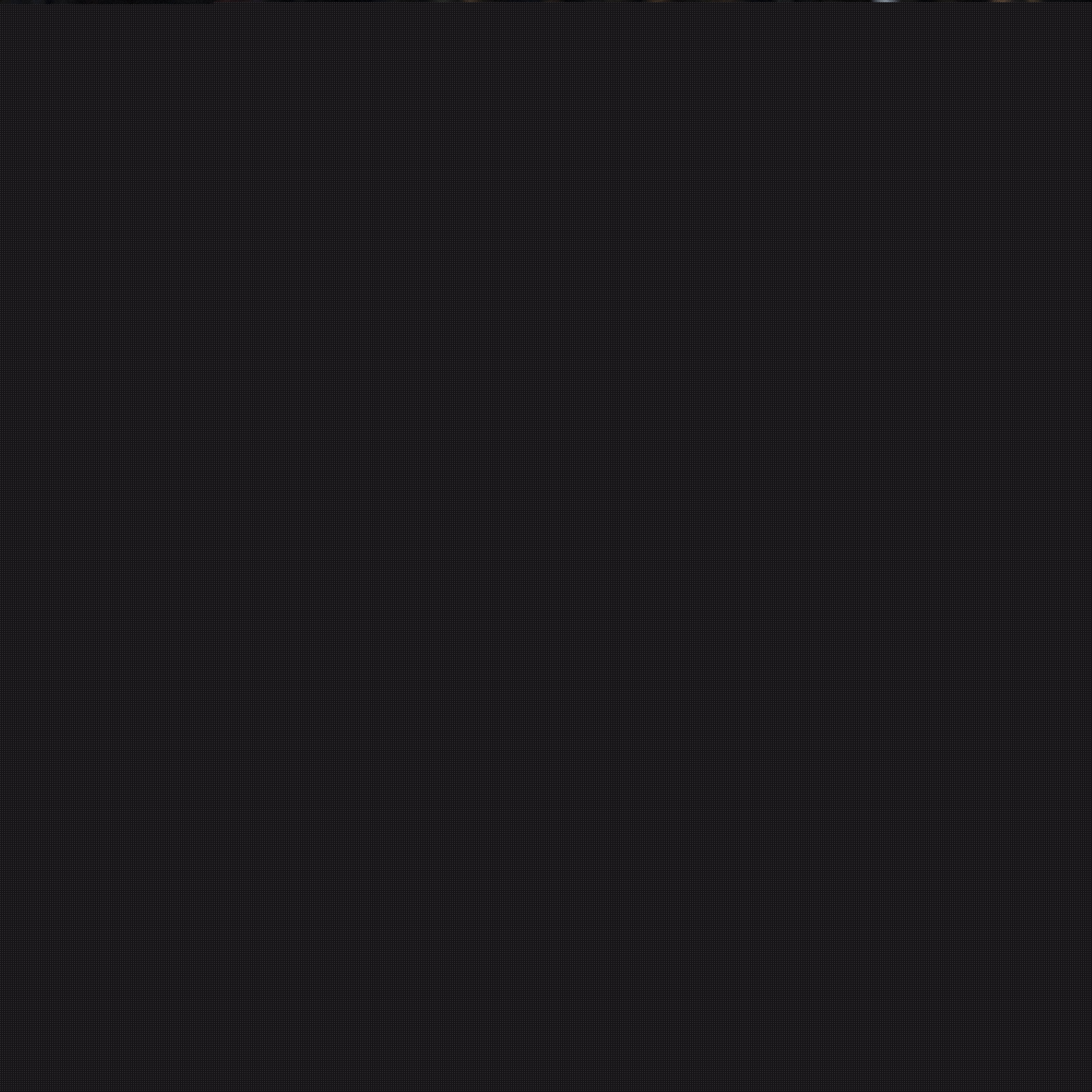 社会的比赛